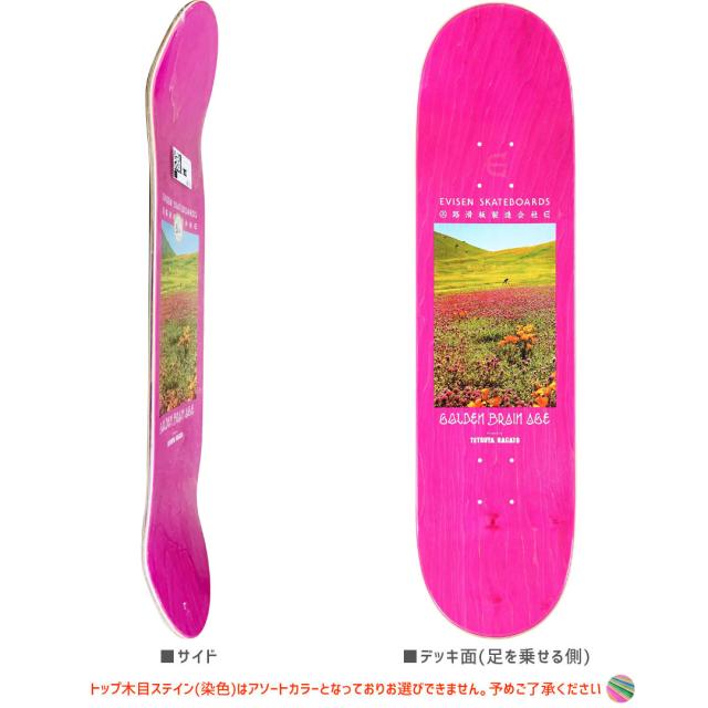 EVISEN エビセン スケートボード デッキ ゑびせん GOLDEN BRAIN