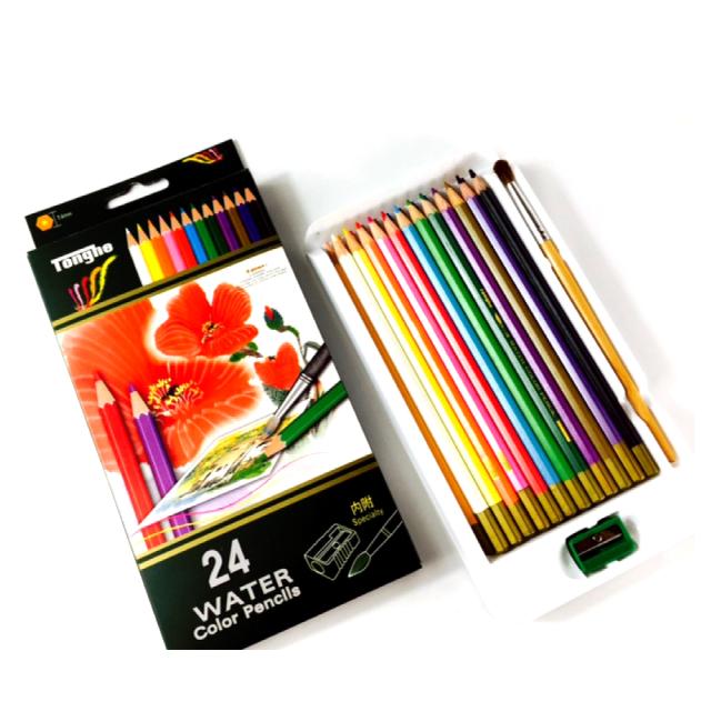 24色 水彩 色鉛筆 水彩画が色鉛筆で描ける 大人から子供まで塗り絵が楽しくなる アートワーク デザインの通販はau Pay マーケット アドバンスワークス