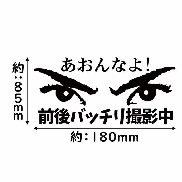 ステッカー あおんなよ 前後バッチリ撮影中 選べる10色 縦8.5ｃｍ×横