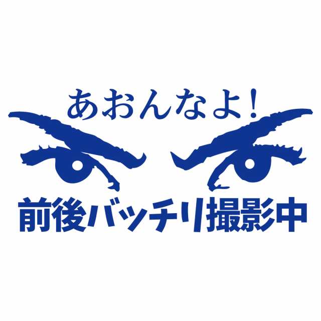 ステッカー あおんなよ 前後バッチリ撮影中 選べる10色 縦8.5ｃｍ×横