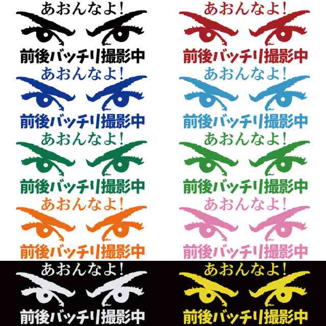 ステッカー あおんなよ 前後バッチリ撮影中 選べる10色 縦8.5ｃｍ×横