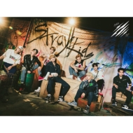 タワーレコード特典ランダム1点付き Stray Kids Scars / ソリクン -Japanese ver.- CD+DVD+PHOTO BOOK (TypeB) 初回生産限定盤B 新品未開封