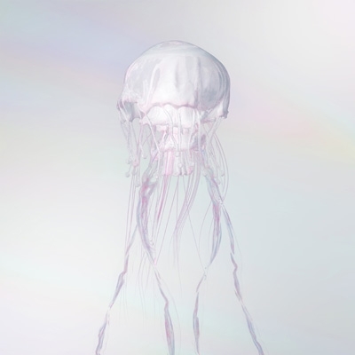 SCANDAL LUMINOUS ［CD+Blu-ray Disc+ロングスリーブTシャツ(L size)+4カットフォト(5枚セット)］完全生産限定盤 新品未開封の通販は