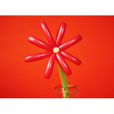 マカロニえんぴつ MACAROCK’N LIVE-1 初回生産限定盤 (Blu-ray) 新品未開封