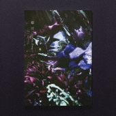 Plastic Tree 痣花 完全生産限定盤 新品未開封