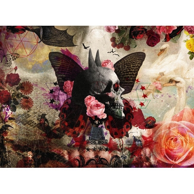 sads FALLING Ultimate Edition (2CD) 新品の通販は 5,190円