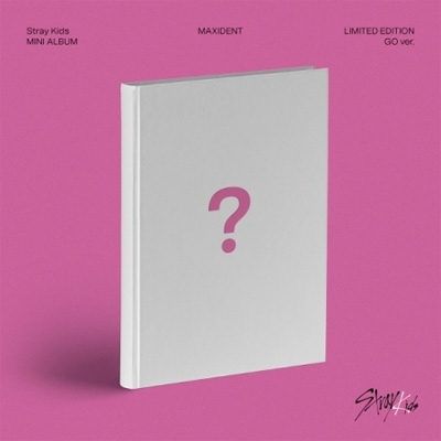 Stray Kids MAXIDENT: Mini Album (GO Version) 限定盤 新品未開封 9,872円
