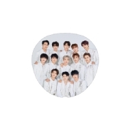 うちわ(集合)/ SEVENTEEN 2020 JAPAN DOME TOUR SVT 新品未開封