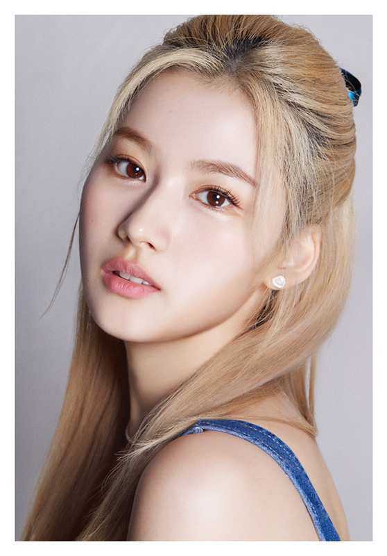 Dicon D’FESTA TWICE SANA version 新品未開封