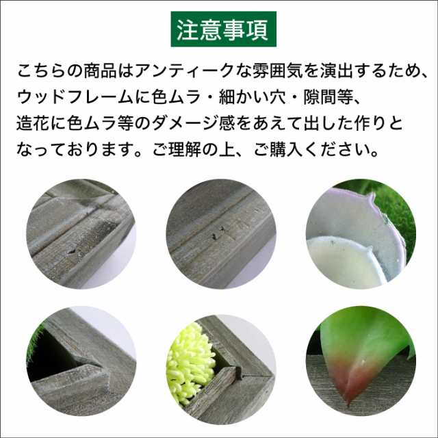 フェイクグリーン 多肉植物 造花 フレーム 壁 インテリア【ウォールフラワーシリーズ 10W】｜au PAY マーケット