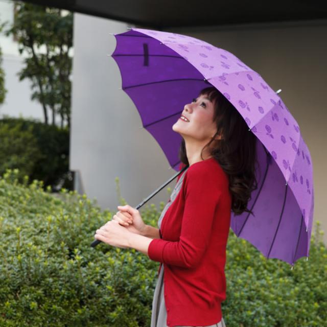 傘 薔薇 雨に濡れるとバラが浮き出る傘 晴雨兼用 ジャンプ ワンタッチ ロザリアン 婦人 女性 レディース アンブレラ 送料無料の通販はau Pay マーケット あっぷる本舗