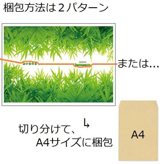 ウォールステッカー 青々と生い茂った草むら 壁紙シール ガーデン風 緑の葉 芝生 足元 窓ガラスに はがせる インテリアデカール 送料無料の通販はau Pay マーケット 41ウォールステッカー