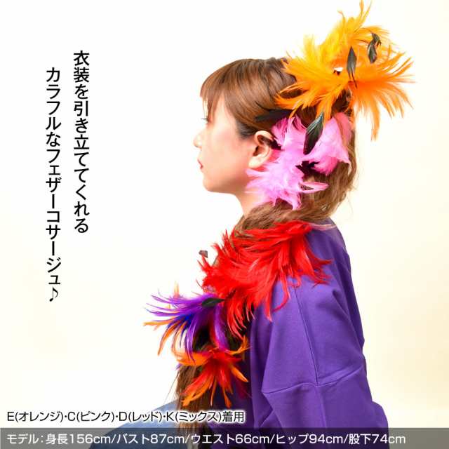 アクセサリー 羽 コサージュ 髪飾り ダンス 衣装 小物 社交 ベリーダンス フラダンス フラメンコ よさこい ピン クリップ T91223[新品]
