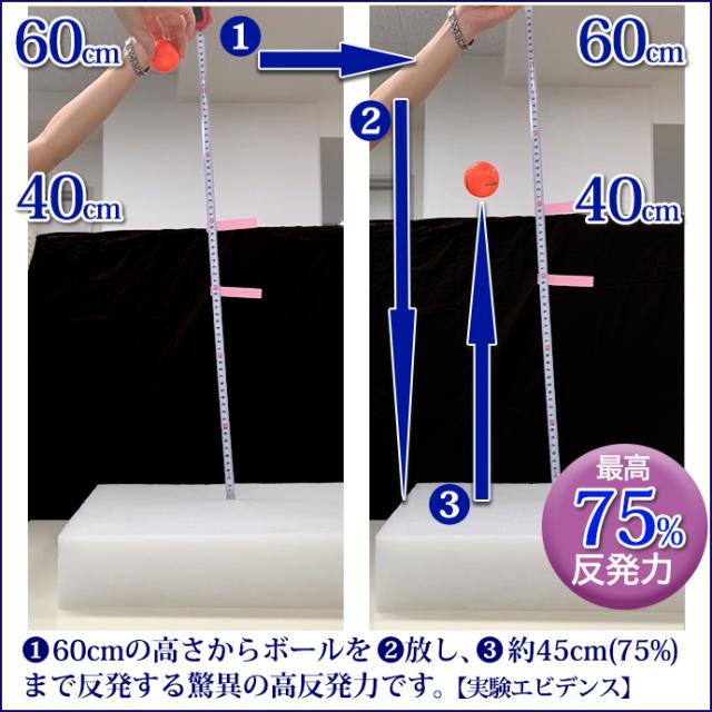 【5個】高反発 かため リッラクス 座布団 55×59cm 厚さ約7cm 軽量 高反発 三層式 硬い 固いシードクッション エアープレス