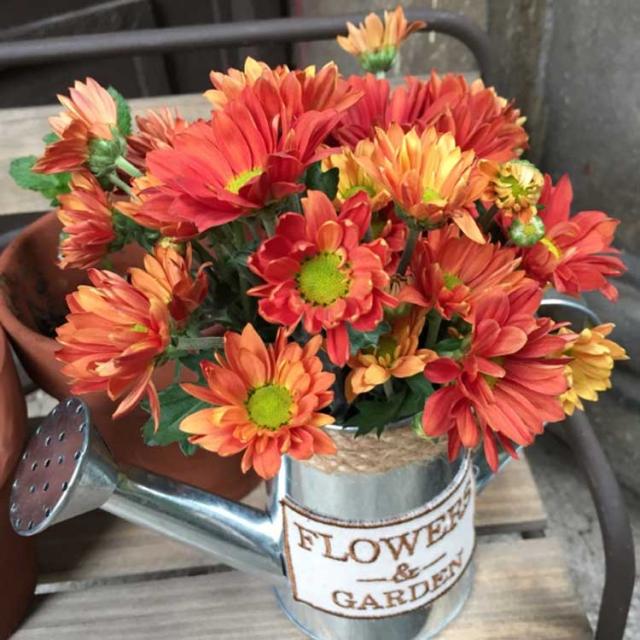 じょうろ型 フラワーベース レトロ 花瓶 花びん フラワーポット ガーデン ガーデニング 置物 オブジェ インテリア 雑貨 小物の通販はau Pay マーケット プレッピー