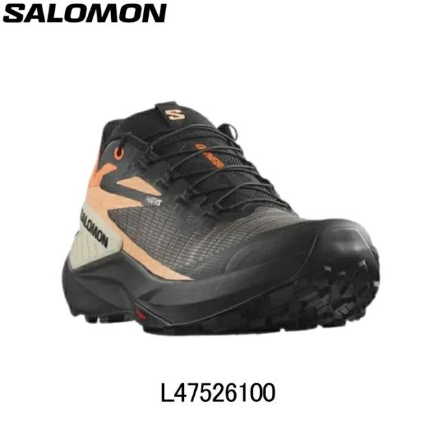 MP3ディスク CD20枚分くらいの録音 ロシアピアニズム リヒテル ギレリス