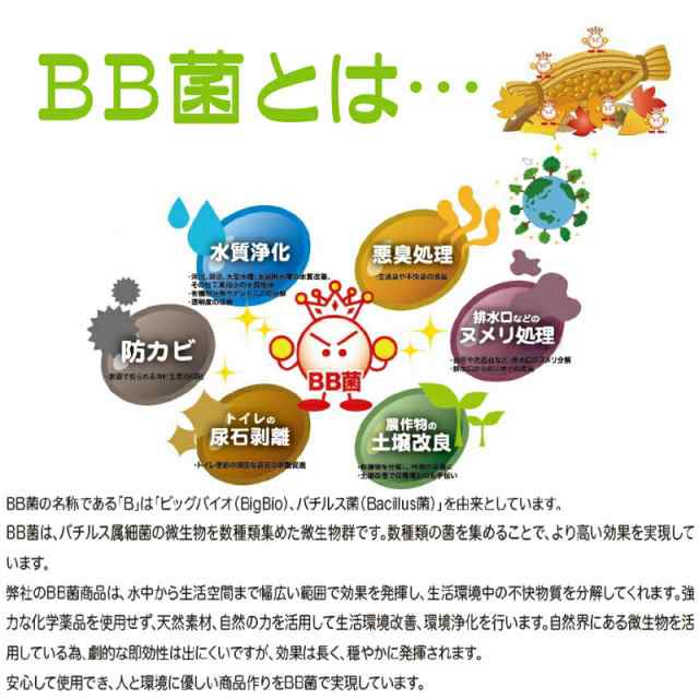 with BIO 汲み取りトイレ用消臭剤 天然バイオ100% 汲取り式トイレ 仮設トイレ ポータブルトイレ 仮設トイレ 便層内 脱臭 介護の通販はau  PAY マーケット - リフォームエコ雑貨 Satani