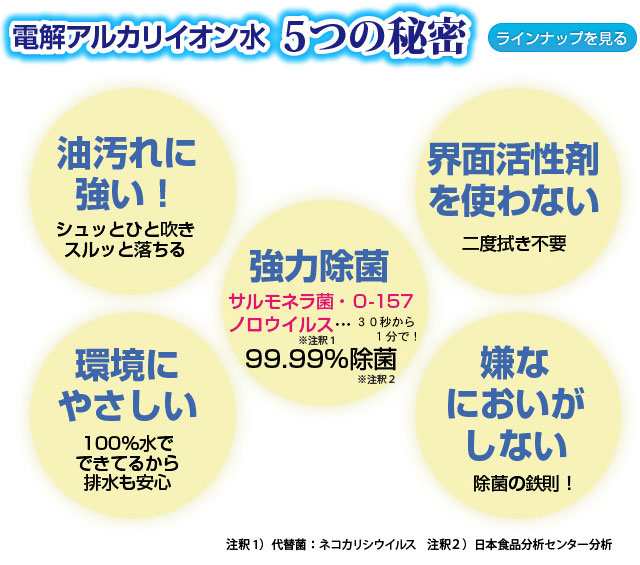 アルカリ性電解水 超電水クリーンシュ！シュ！ 詰め替え・500ml ケミコート 掃除用具 洗剤 赤ちゃん ペット 安心 安全 電解アルカリイオの通販はau  PAY マーケット - リフォームエコ雑貨 Satani