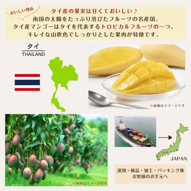 ドライりんご500g×6点・昔ながらのドライマンゴー×8点・アーモンド1キロ ドライりんご500g×6点・昔ながらのドライマンゴー×8点