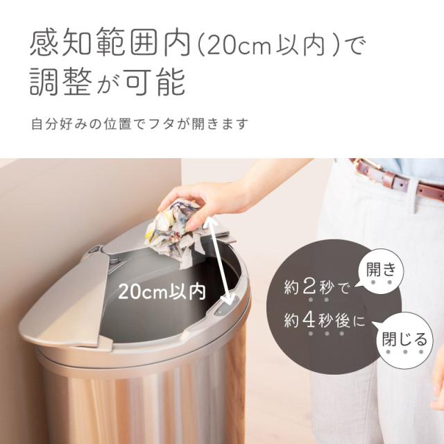 アントレックス ゴミ箱 分別 ふた付き bcl ステンレスダストボックス