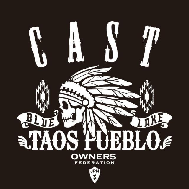 カッティングステッカー ダイハツ Daihatsu Cast キャスト Apache 車 カー ステッカー アクセサリー シール ガラス の通販はau Pay マーケット ホビナビ