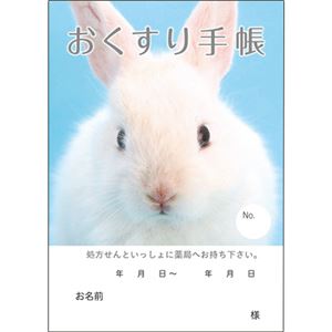 まとめ買い 業務用 どうぶつ見つけた おくすり手帳 32ページ うさぎ 1パック 50冊 5セット 生活雑貨 Tp の通販はau Pay マーケット ホビナビ