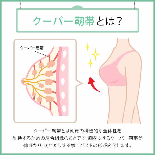 バストサポートバンド 胸揺れ防止 バンド式スポブラ スポーツブラ バスト揺れ防止 ノンワイヤー スポーツ ランニング ヨガ ブラジャーのの通販はau  PAY マーケット - BARIS