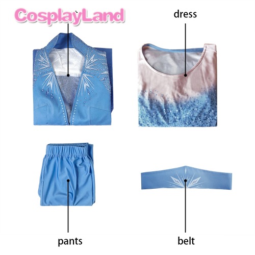 高品質 高級コスプレ衣装 ディズニー風 アナと雪の女王 アナ/エルサ オーダーメイド コスチュームドレス Elsa Cosplay Costume Halloween Party Elsa Anna Dress Cosplayの通販は