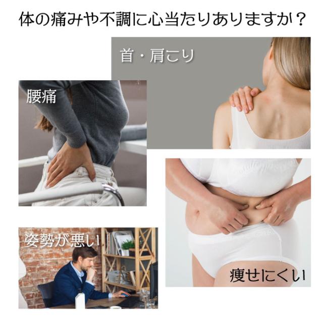 オールグゥ 骨盤ベルト サポーター 男女兼用 メール便不可 正規品 Allgu-BELT 元祖滑車式発明メーカー 骨盤サポーター 腰サポーター コルセット 産後 健康グッズ トレーニング 薄型 通気性 レガルト LegStyle レッグスタイル rs-01_1