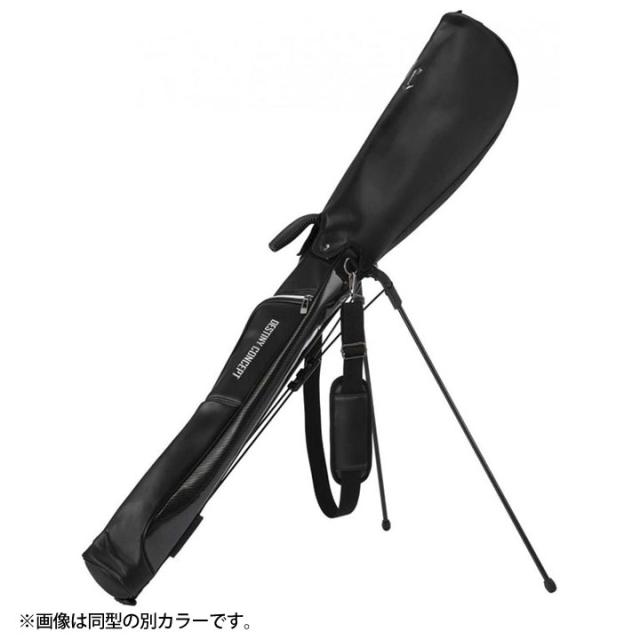 イデアジャパン DESTINY CONCEPT デュアルバッグ DC-X14B DUAL HLF