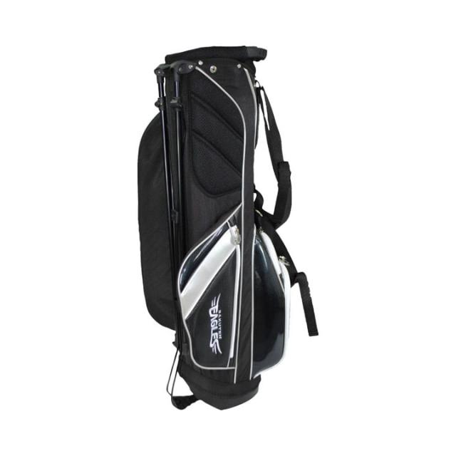 東北楽天イーグルス RECB-3441 7.5型スタンドバッグ ブラック  スタンド型 キャディバッグ 47インチ対応 2.6kg RAKUTEN EAGLES LEZAX