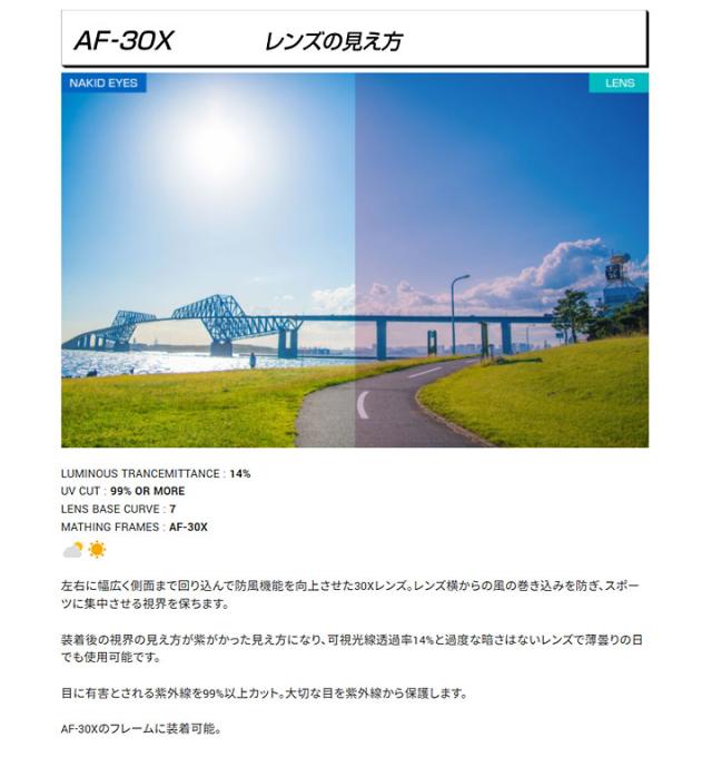 正規販売店】エアフライ AF-30X C-1 スポーツサングラス フレーム
