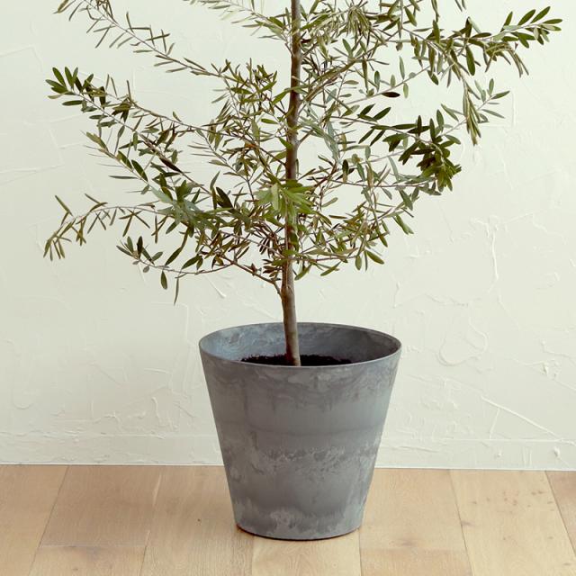 プランター Art Stone アートストーン Ll 植木鉢 底面 給水 鉢 12号 軽量 おしゃれ ガーデニングの通販はau Pay マーケット ホッチポッチ自由が丘web Shop