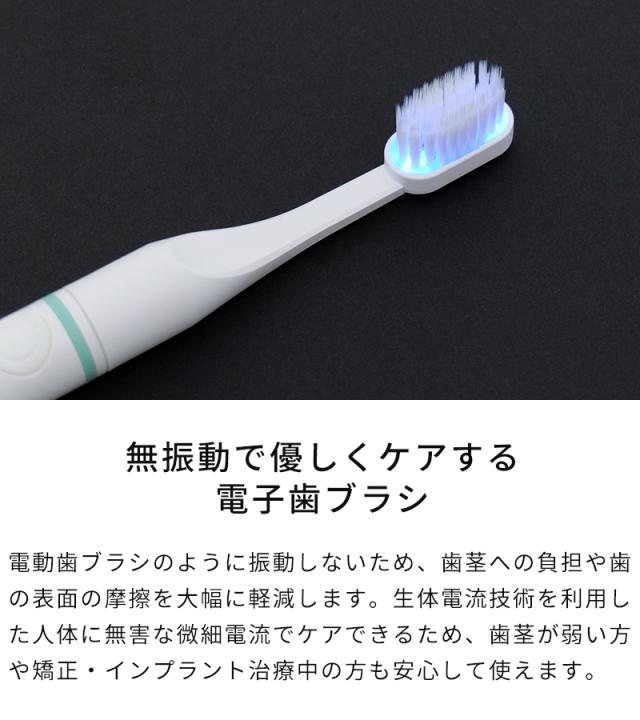 歯ブラシ プラクレス PLAQLES 電子歯ブラシ 充電タイプ TROMATZ-S-P 無 