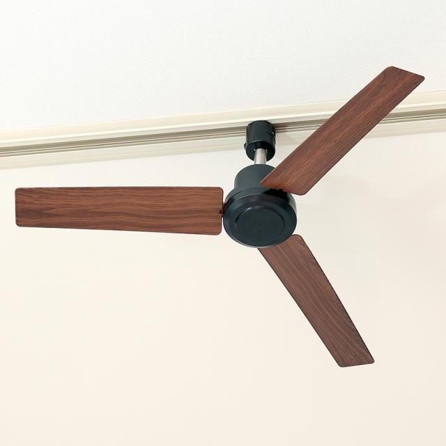 【限定色】【特典付】シーリングファン おしゃれ BRID GENERAL ダクトレールファン DCモーター プラス Φ50cm 003329 小型 軽量 リモコン