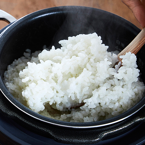 【特典付】 圧力鍋 電気 リデポット Re・De Pot 電気圧力鍋 2L PCH-20 圧力調理 炊飯器 4合 低温調理 スロー調理 無水調理 1.2L レシピ