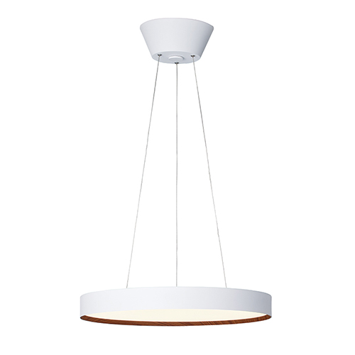 【特典付】ペンダントライト led アートワークスタジオ ARTWORKSTUDIO グロー 5500 LEDペンダントライト AW-0625E 約10畳用 1灯 照明器具_14