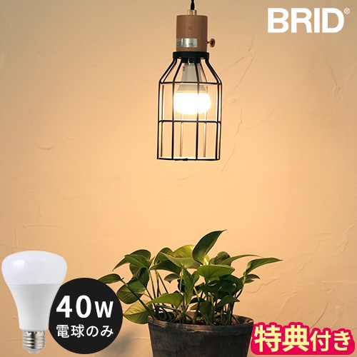 【特典付】LED電球 40w BRID プランツライト 40 PLANTS LIGHT40 WARM COOL 003379 003381 E26 40W相当 LEDライト 植物用ライト 観葉植物の通販は