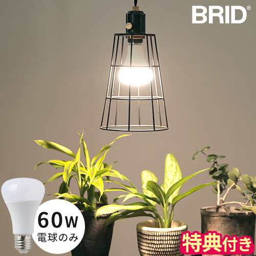 特典付】LED電球 60w BRID プランツライト 60 PLANTS LIGHT40 WARM