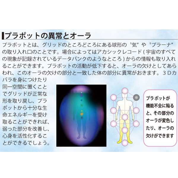 3Dカバラ連結型・ルーカス 医学博士 丸山アレルギークリニック 院長 丸山修寛監修｜au PAY マーケット