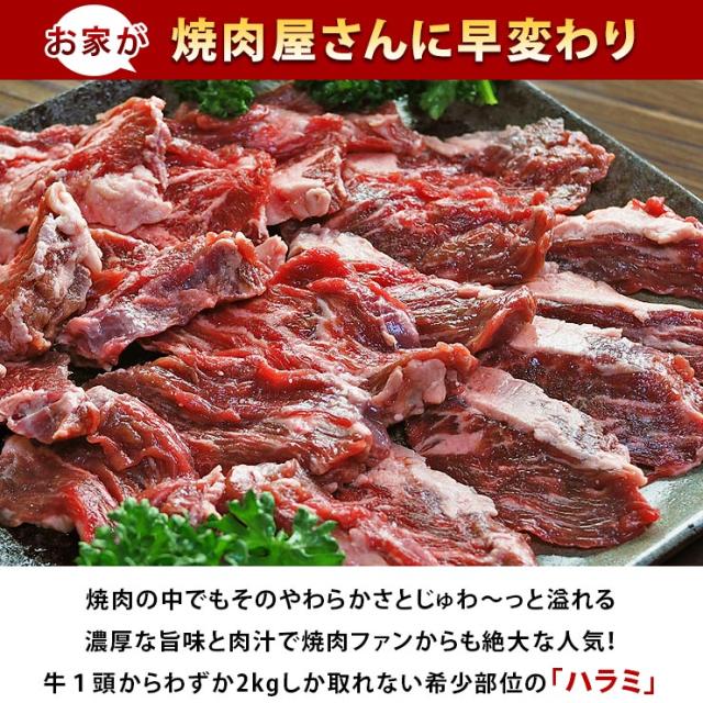 焼肉 牛ハラミ やわらか ケイジャンBBQ 焼き肉 200g BBQ バーベキュ 惣菜 おつまみ 家飲み グリル ギフト 肉 生 チルドの通販はau  PAY マーケット - グルメマイスターwowma!店