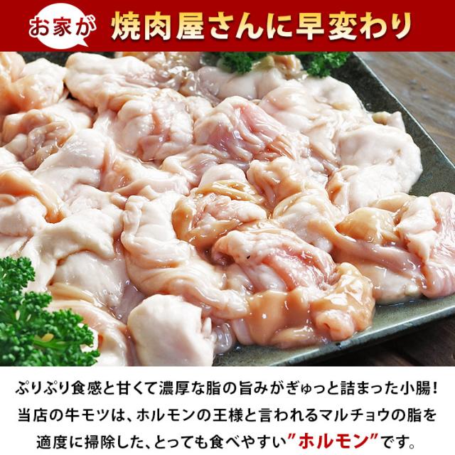 焼肉 牛ホルモン 塩だれ やわらか 焼き肉 200g Bbq バーベキュ 惣菜 おつまみ 家飲み グリル ギフト 肉 生 チルドの通販はau Pay マーケット グルメマイスターwowma 店