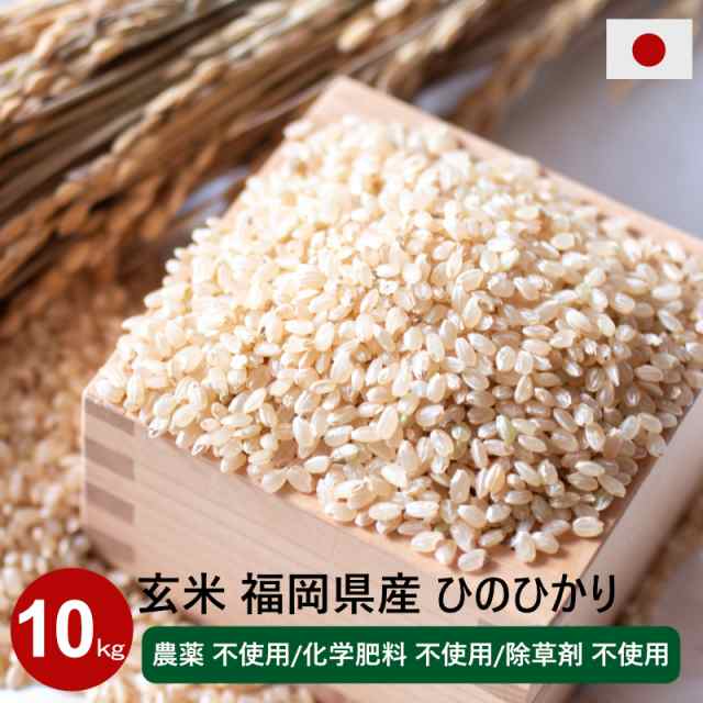 新米玄米 10kg 農薬不使用 化学肥料不使用 オーガニック 循環型農法 除草剤不使用 令和５年度 福岡県産 ヒノヒカリ 米・雑穀