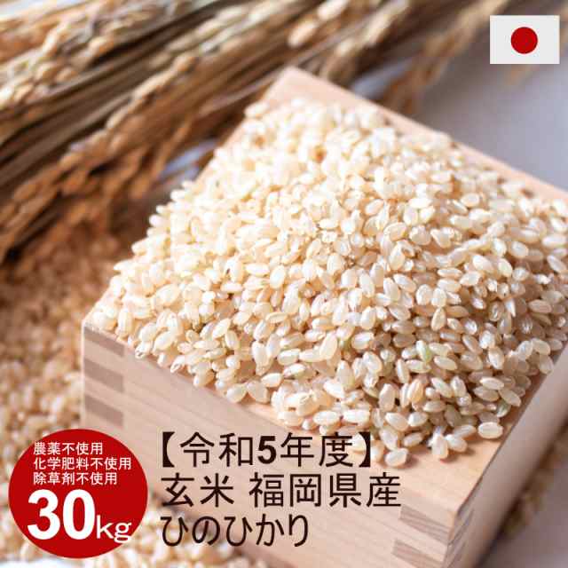 100％安い 自然栽培米 無農薬 大粒 ヒノヒカリ 玄米 農薬不使用 化学