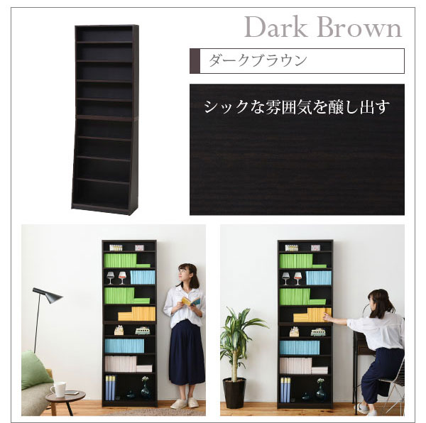 本棚 薄型 本体 幅60cm 壁面収納 収納家具 1cmピッチ 大収納ラック CD DVD YHK-0214-JK_4