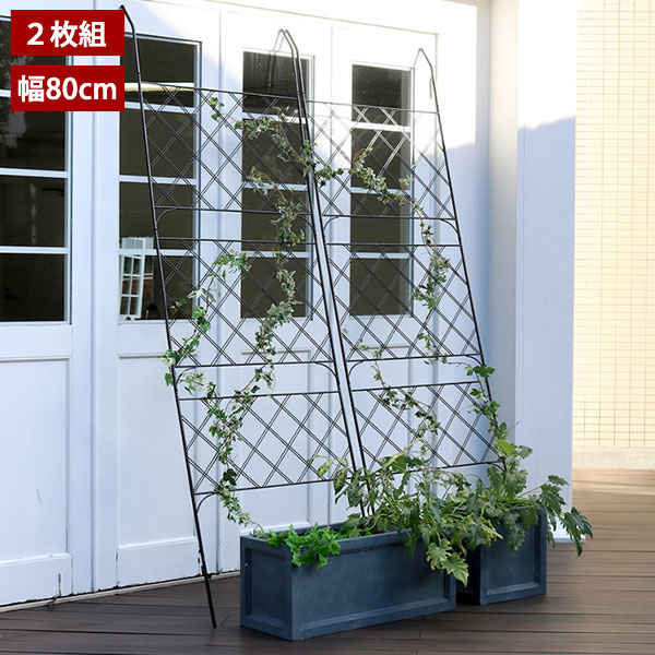 アイアン製グリーンカーテン 幅80cm 2枚組 アーガイル Argyle IFGC011-2P-BLKの通販は