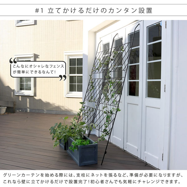 アイアン製グリーンカーテン 幅80cm アーガイル Argyle IF-GC011BLK_1