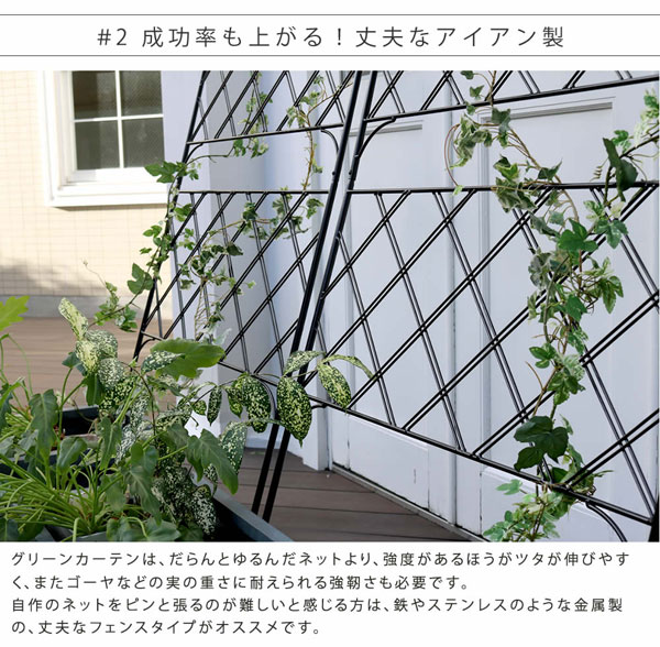 アイアン製グリーンカーテン 幅80cm アーガイル Argyle IF-GC011BLK_3