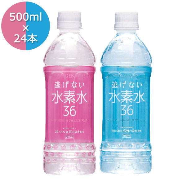 水素水36 500ml×24本 水素が逃げない キレイ生活 水素濃度従来の3倍 清涼飲料水 超天然軟水 高賀の森水 奥長良川名水の通販は