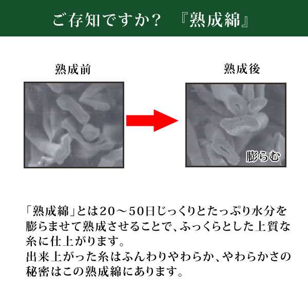 日本製熟成綿暖か裏起毛パジャマ 同サイズ2色組 ふんわりやわらか部屋 ...